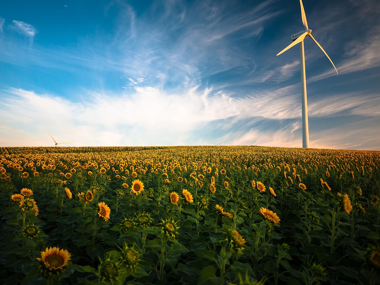 découvrez les dernières avancées et solutions durables dans le domaine des énergies renouvelables pour un avenir plus vert et responsable.
