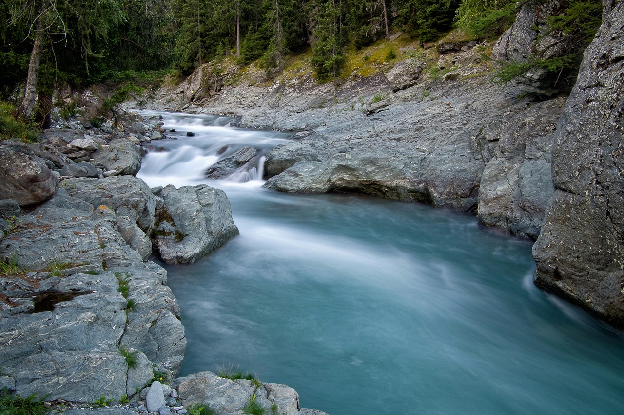 découvrez tout sur l'environnement : protection, biodiversité, changements climatiques et initiatives durables pour préserver notre planète.