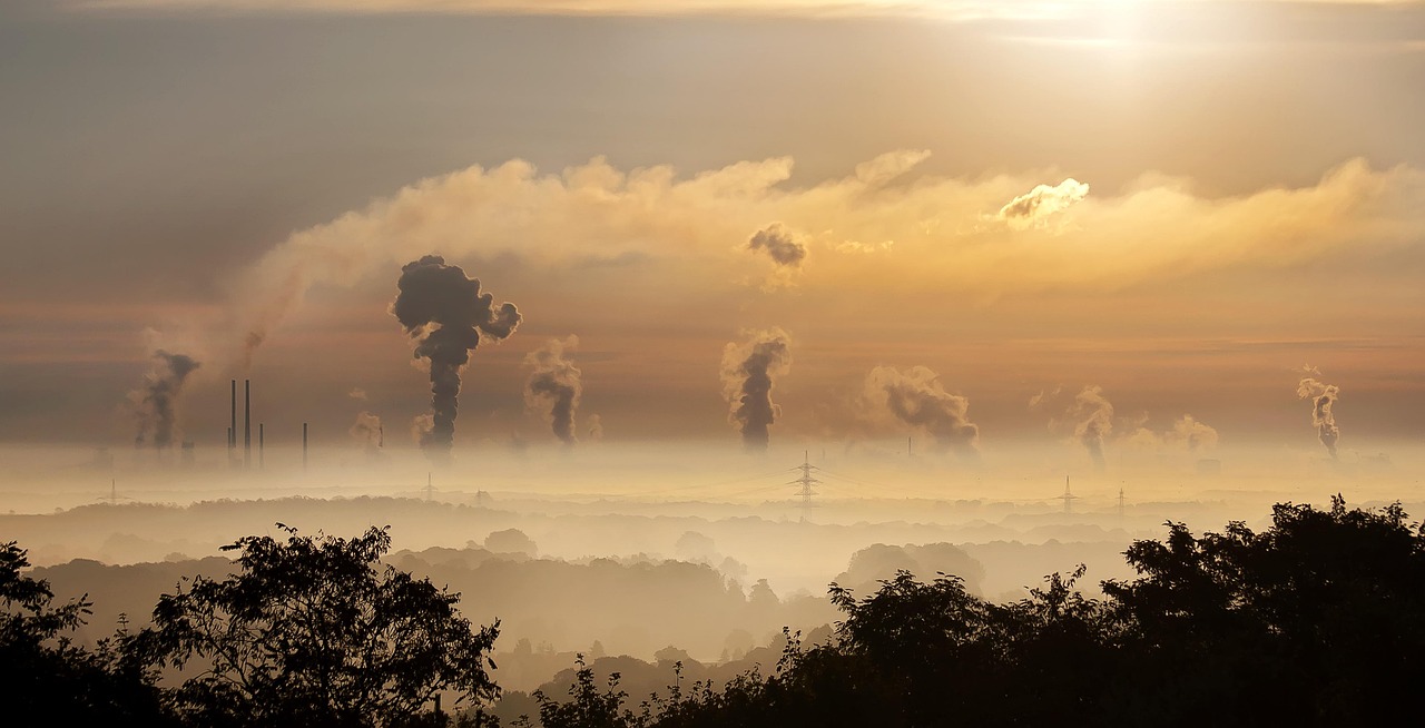 découvrez notre politique environnementale engagée, visant à promouvoir des pratiques durables et responsables. explorez nos initiatives pour réduire notre impact écologique et contribuer à un avenir plus vert.