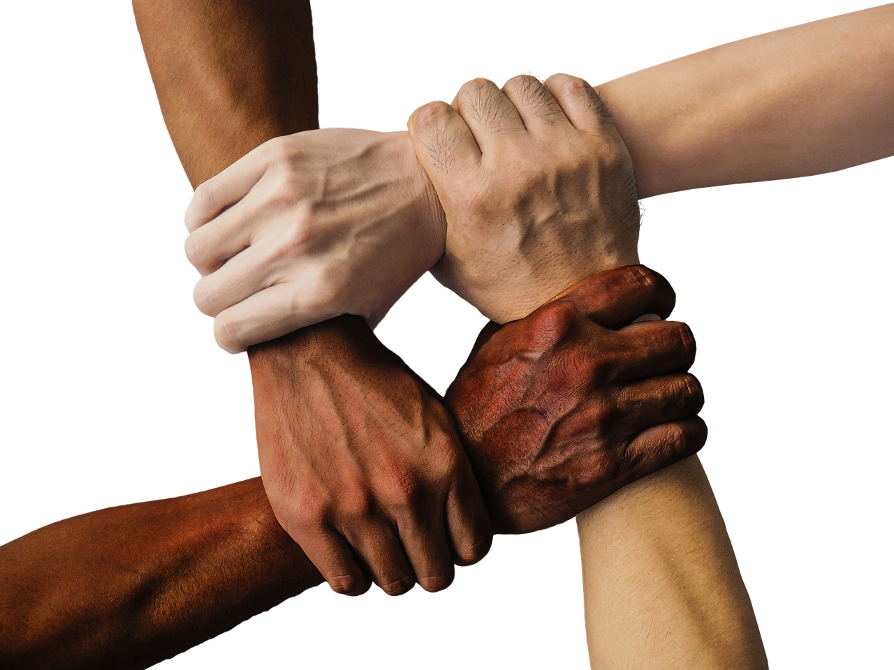 découvrez ce qu'est une alliance politique, ses objectifs, ses impacts sur la gouvernance et comment elle influence les relations entre partis et gouvernements.