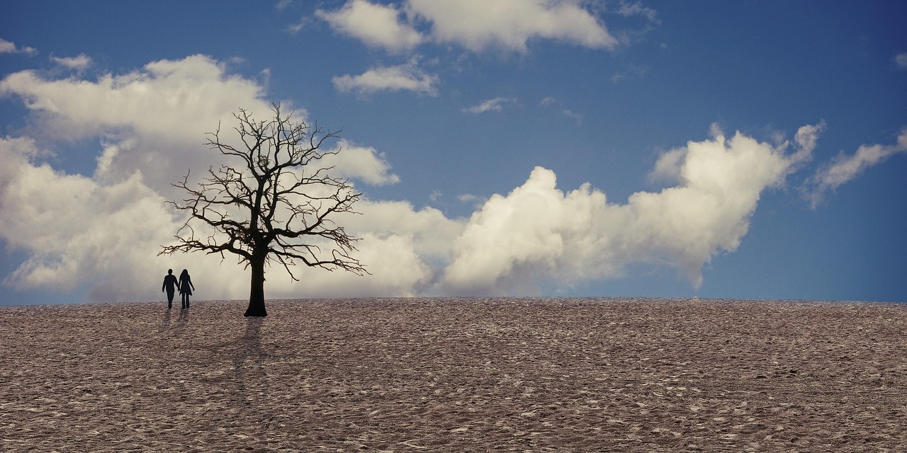 découvrez notre plan climat détaillé pour lutter contre le changement climatique, réduire les émissions de gaz à effet de serre et promouvoir un avenir durable.