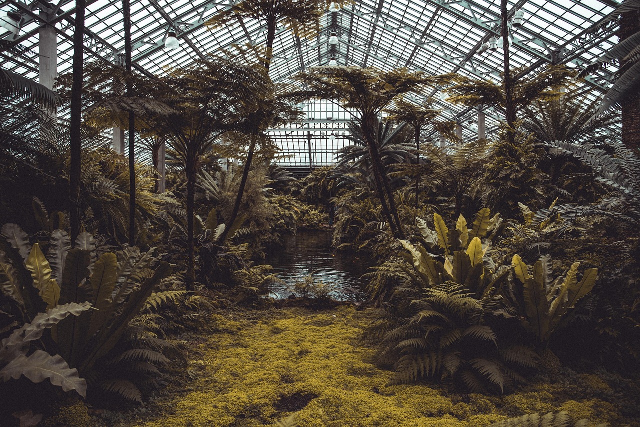découvrez le rôle des ong environnementales, leur impact sur la protection de la nature et l’importance de leur engagement pour un avenir durable.