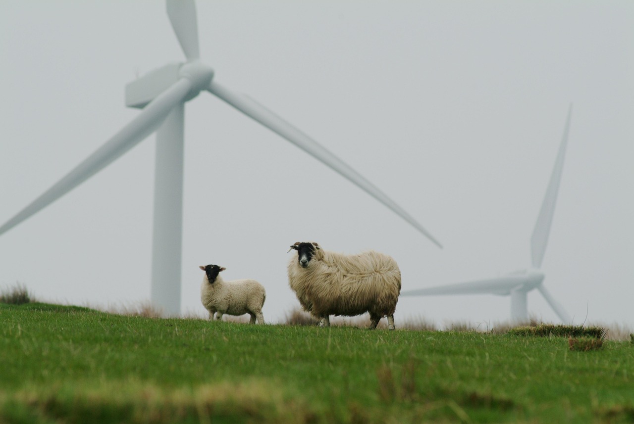 découvrez nos initiatives et conseils pour promouvoir la durabilité et protéger l'environnement pour les générations futures.