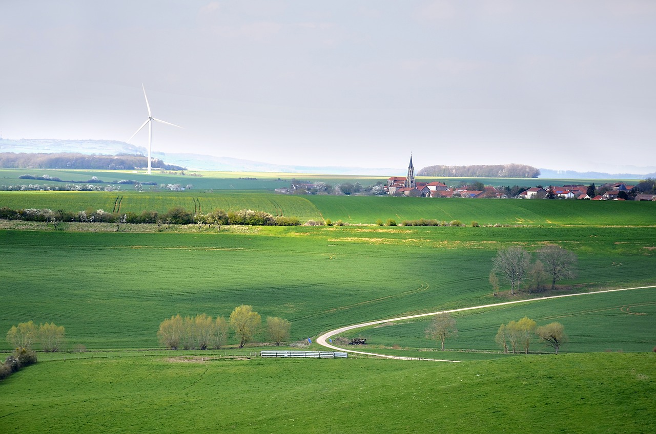 découvrez notre guide complet sur le développement durable : des pratiques éco-responsables aux solutions innovantes pour un avenir plus vert. adoptez des habitudes qui préservent notre planète et améliorent la qualité de vie.