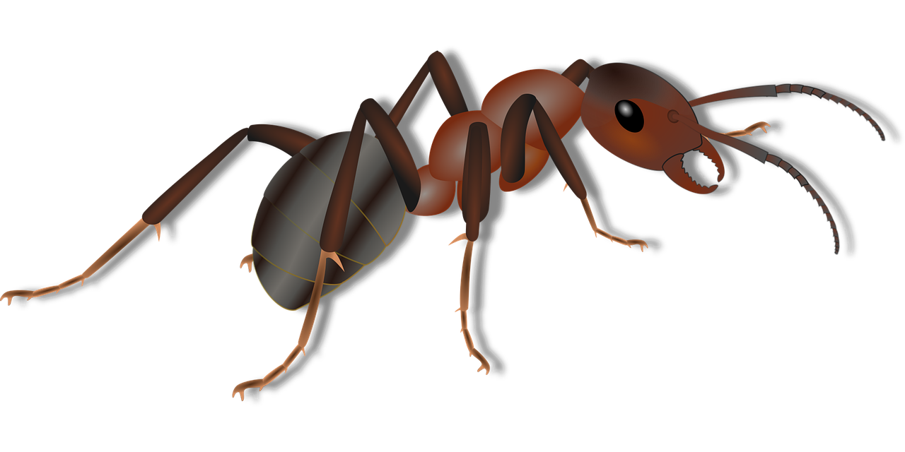 electric ant est une nouvelle technologie innovante inspirée par la nature, combinant efficacité et intelligence pour révolutionner votre quotidien.