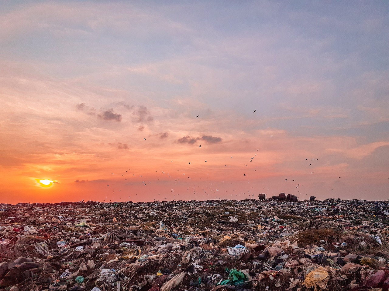 découvrez les enjeux environnementaux des décharges de déchets et les solutions pour une gestion durable des déchets.