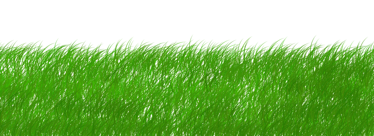 découvrez l'importance de la durabilité et son impact sur notre avenir. explorez les pratiques écologiques, les innovations vertes et les solutions durables pour préserver notre planète tout en soutenant les communautés.