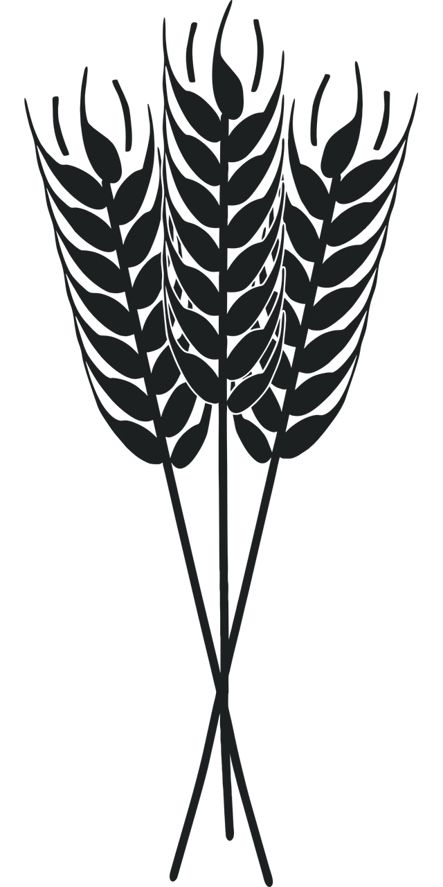 découvrez l'agriculture durable, une méthode essentielle pour produire des aliments tout en préservant l'environnement. apprenez comment ces pratiques innovantes favorisent la biodiversité, réduisent les déchets et garantissent une production alimentaire responsable pour les générations futures.