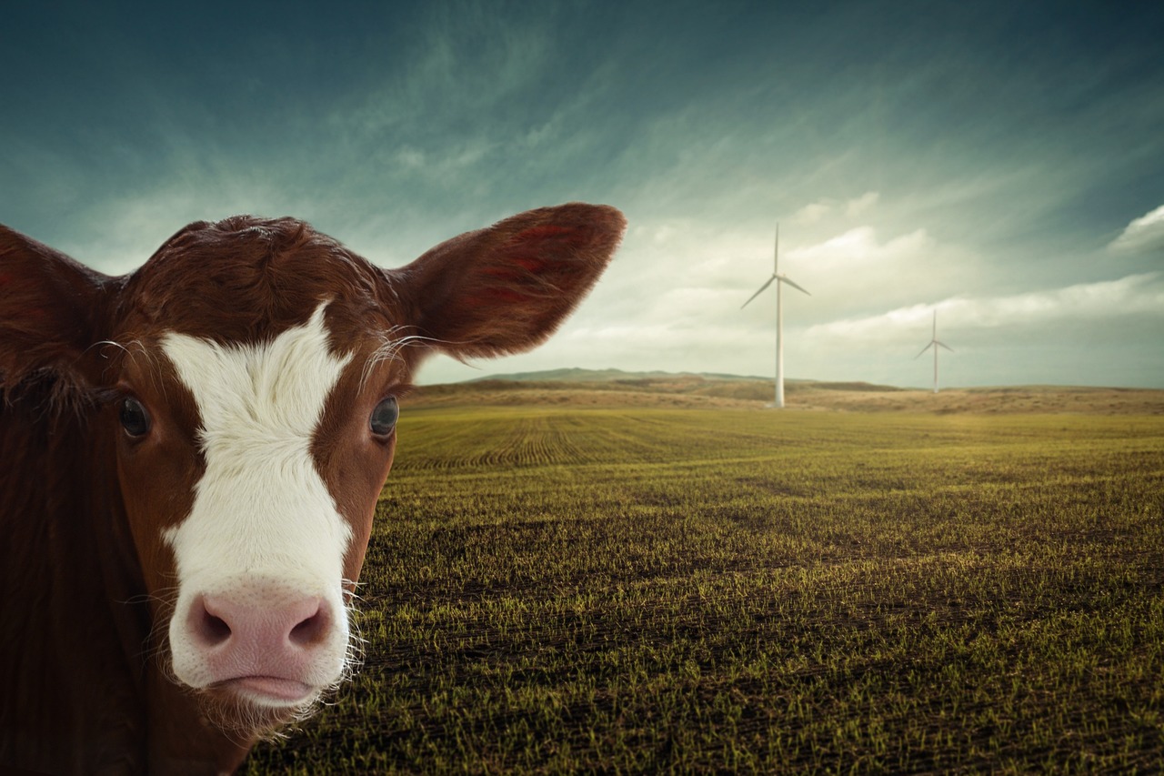 découvrez comment réussir la transition climatique grâce à des stratégies innovantes, des solutions durables et des actions concrètes pour lutter contre le changement climatique et préserver la planète.