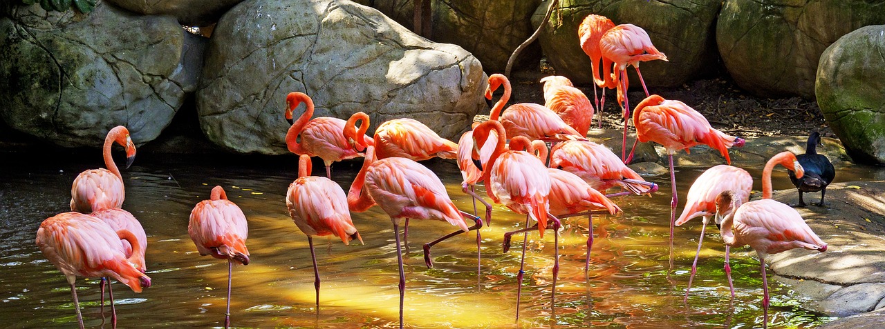 découvrez la colombie, un pays riche en culture, paysages diversifiés et une histoire fascinante, idéal pour les voyageurs en quête d'aventure et de découverte.