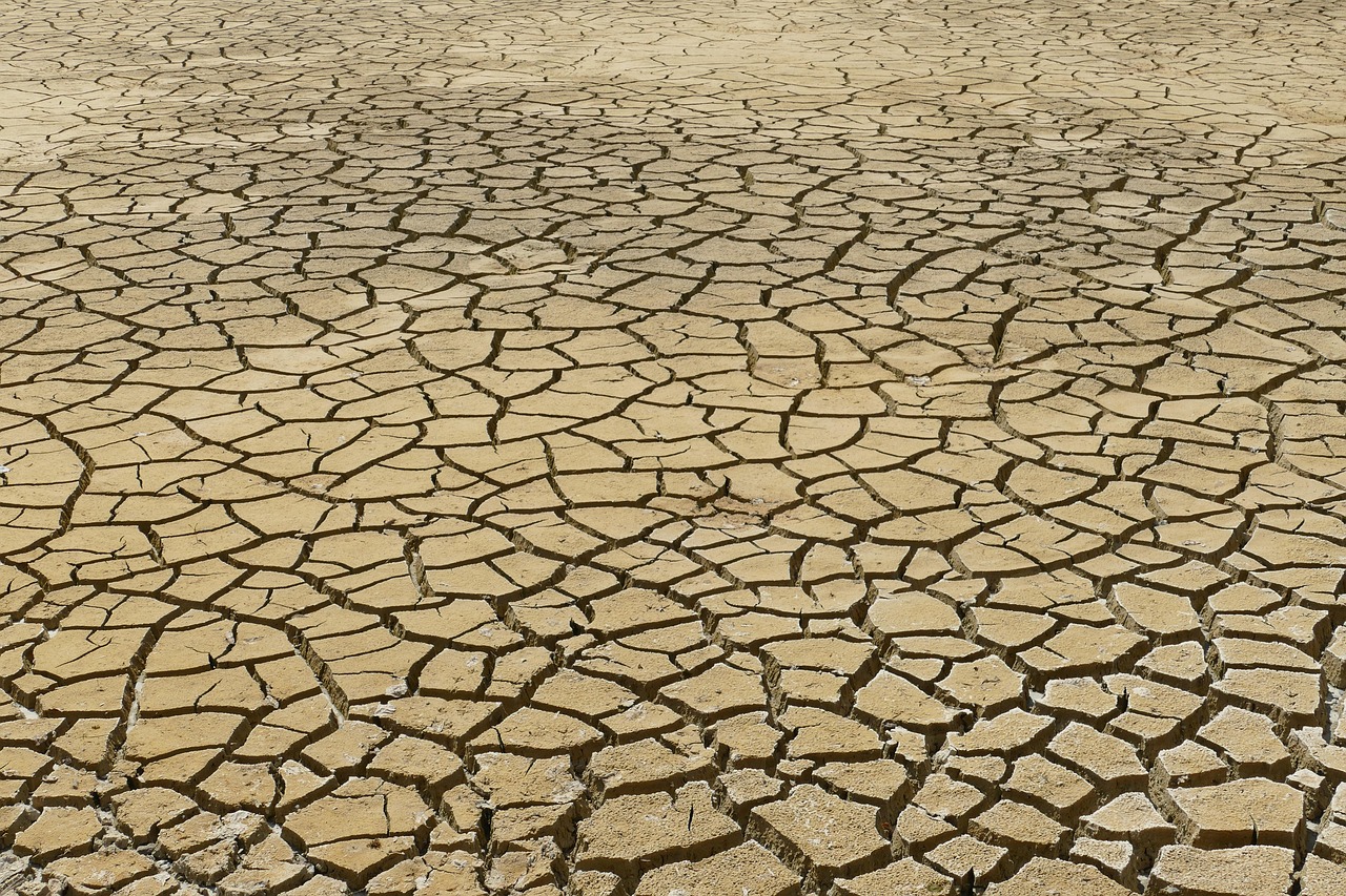 découvrez notre plateforme d'adaptation au changement climatique, dédiée à fournir des solutions innovantes et des ressources pour aider les communautés à s'adapter efficacement aux impacts environnementaux.
