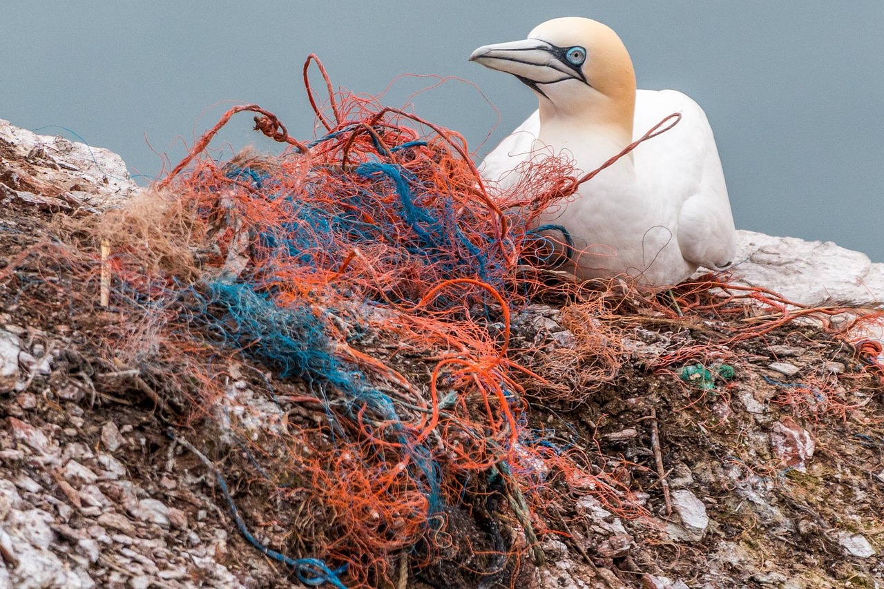 découvrez l'impact de la pollution sur notre environnement et notre santé. explorez les sources de pollution, ses effets néfastes et les solutions pour un avenir durable.