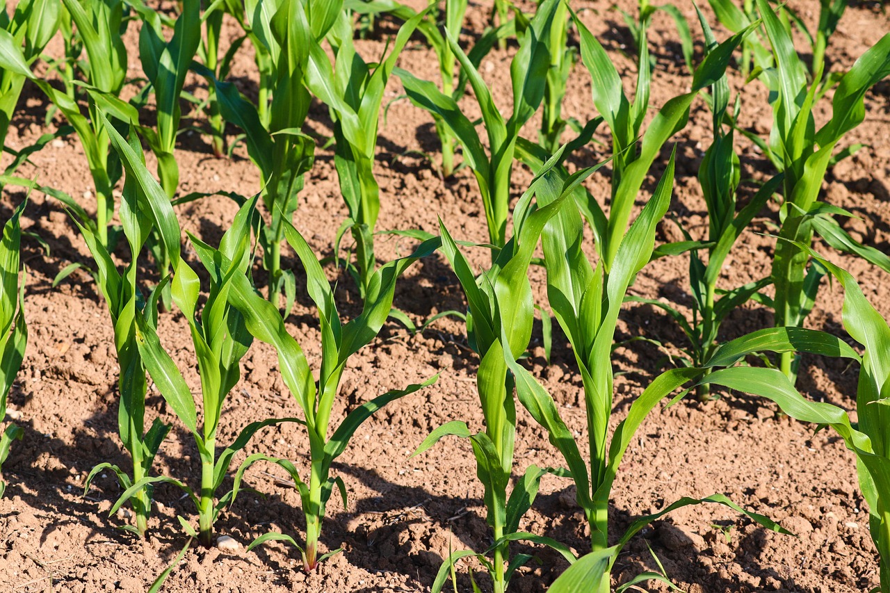 découvrez nos solutions innovantes pour l'adaptation et l'optimisation de la production en forage, assurant efficacité et performance durable.