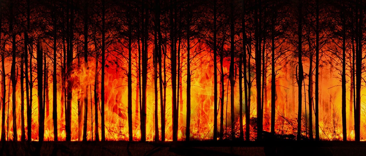 découvrez les défis et les solutions liés au changement climatique, un enjeu mondial crucial qui affecte notre planète. informez-vous sur les causes, les impacts et les actions à entreprendre pour un avenir durable.
