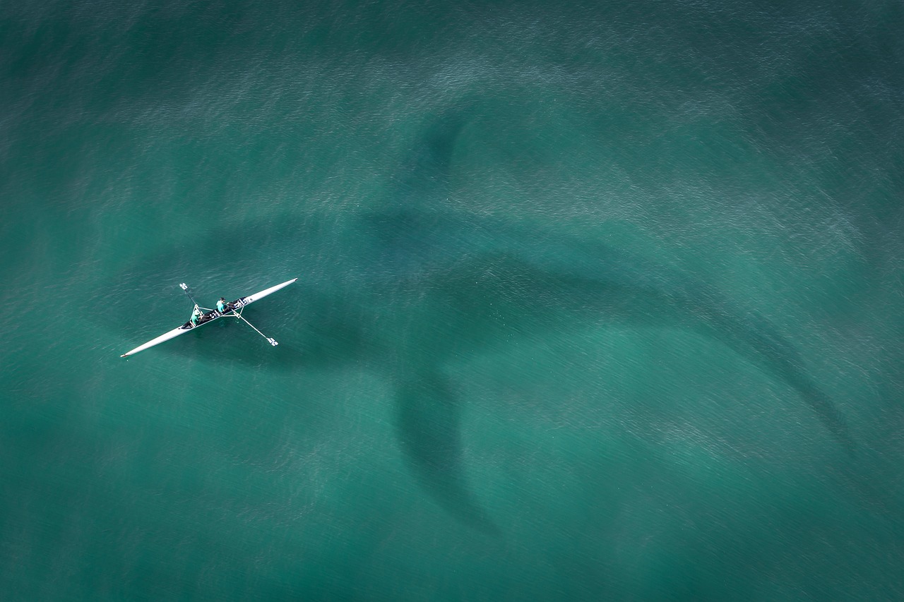 découvrez les requins-baleines, les plus grands poissons du monde, leurs caractéristiques, leur habitat et leur comportement fascinant.