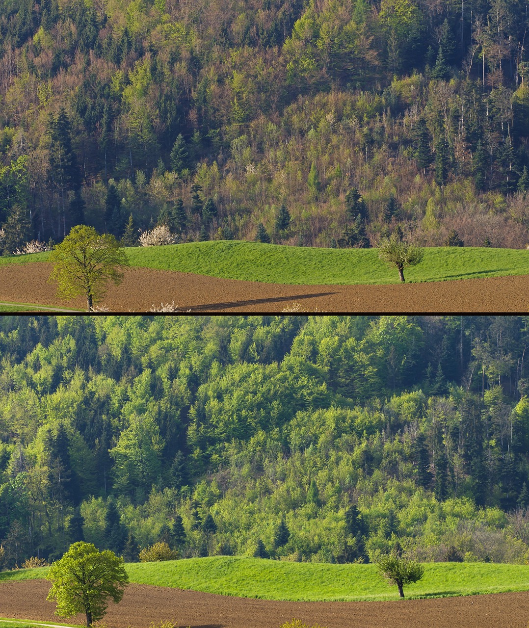 La capture du CO₂ : un maillon essentiel de la politique climatique européenne oubliée