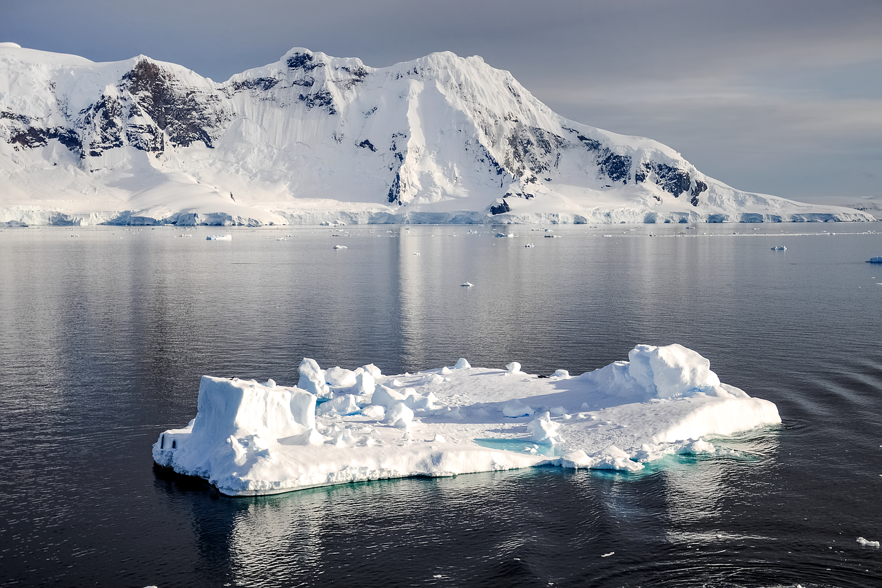Antarctique : Exploration au cœur de la région la plus rapidement réchauffée de la planète à 20 000 lieues de chez nous