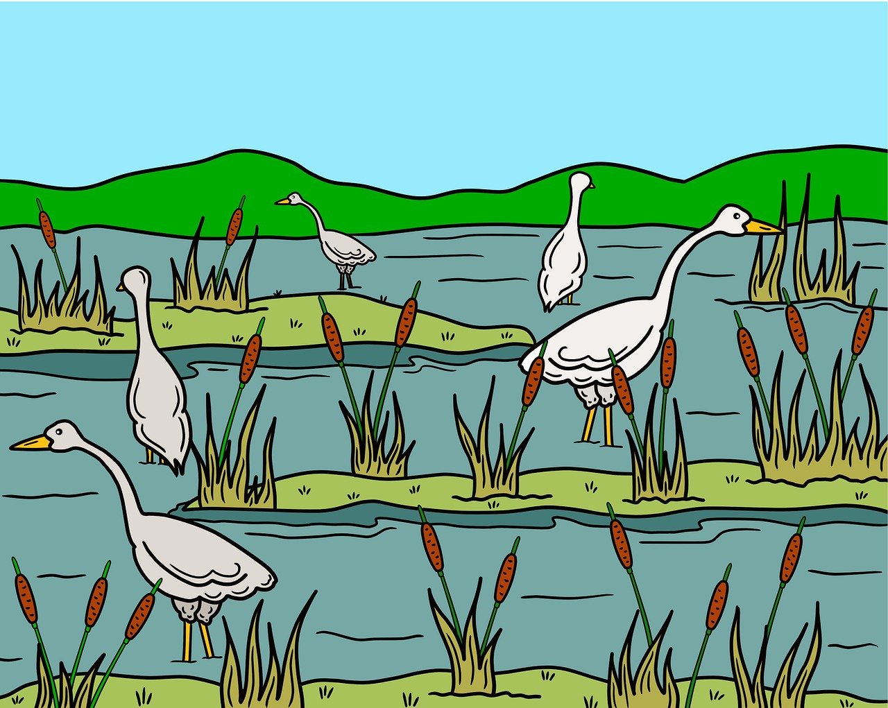 Comprendre les écosystèmes : leur rôle crucial dans la biodiversité