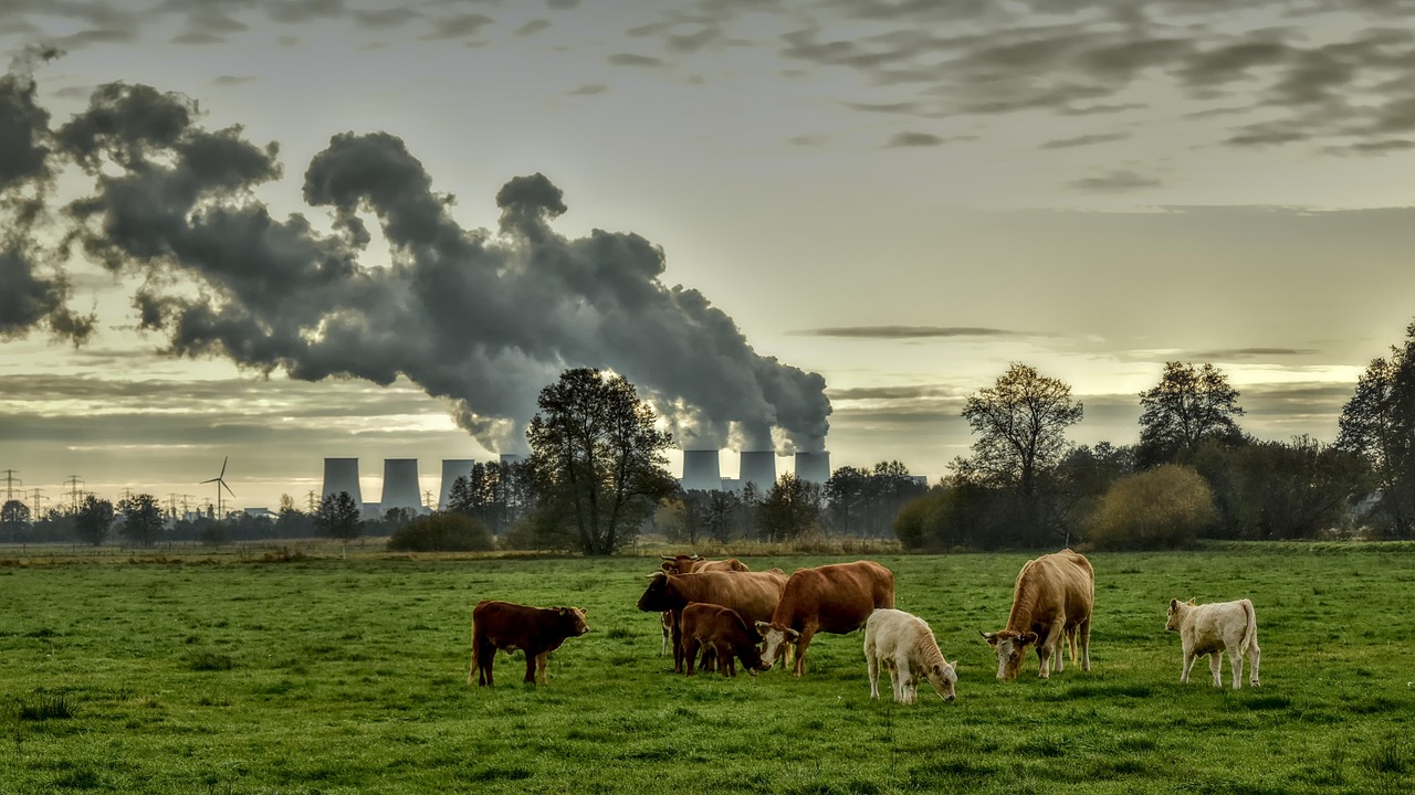 Changement climatique et agriculture : comment s’adapter efficacement ?