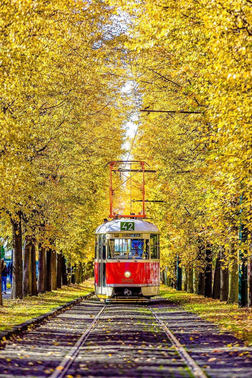 L’impact des transports sur notre empreinte écologique