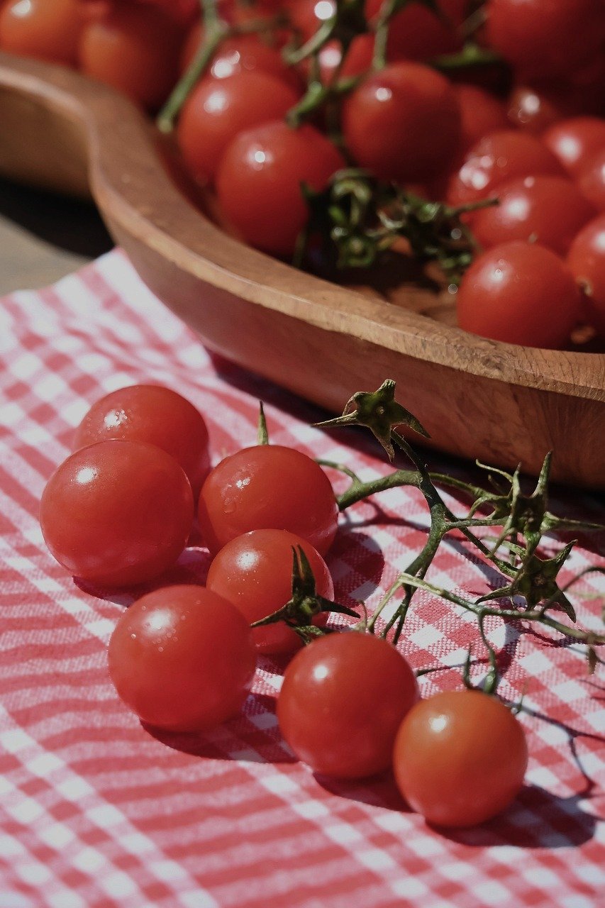 Les tomates sous l’œil de la science : Saveurs, durabilité et adaptation au changement climatique