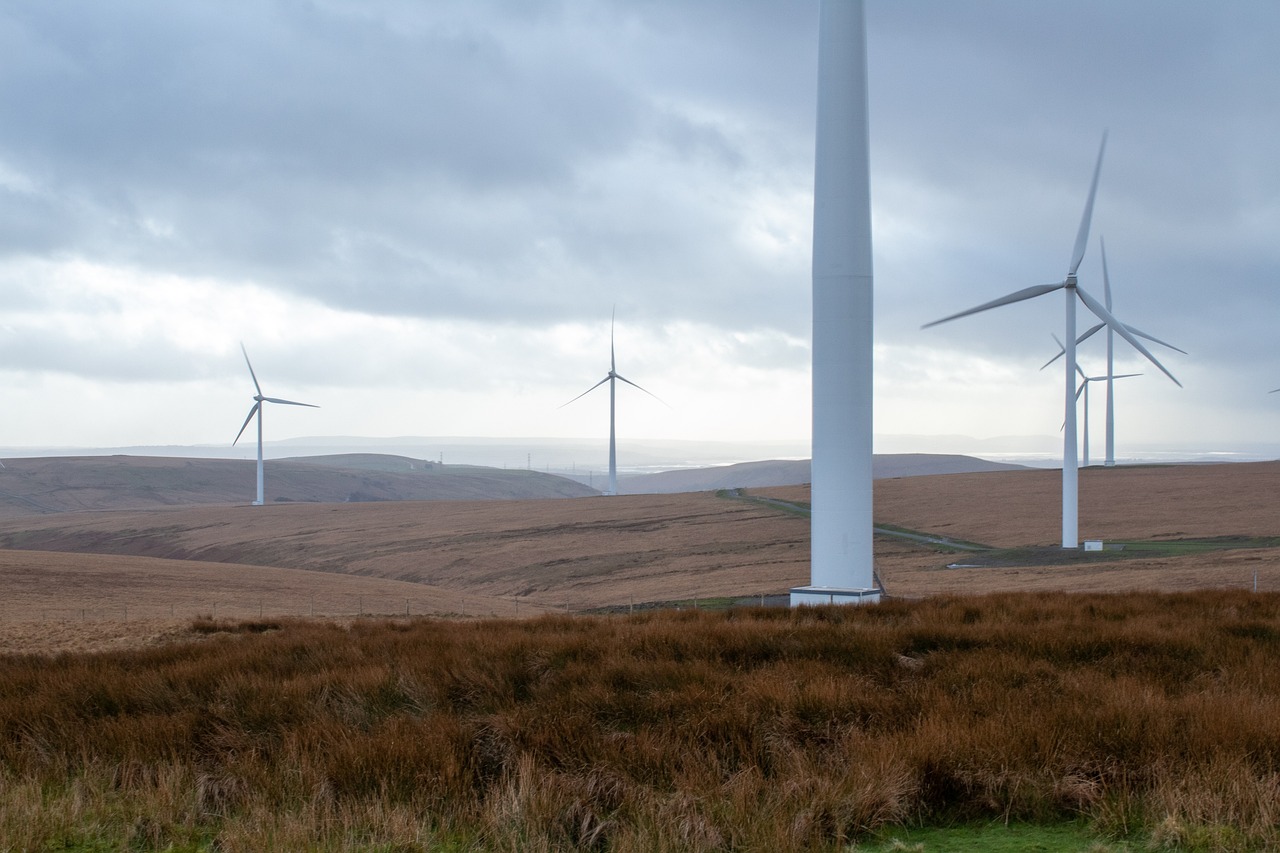 Énergies renouvelables : les pays qui mènent la danse en 2023