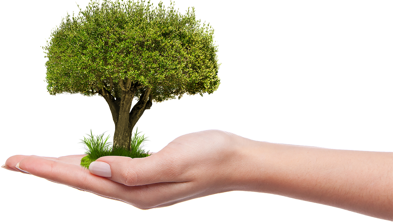 Écologie : Comprendre l’impact de nos choix quotidiens sur la planète