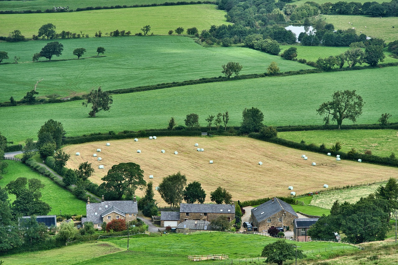 Les fermes urbaines : un concept prometteur