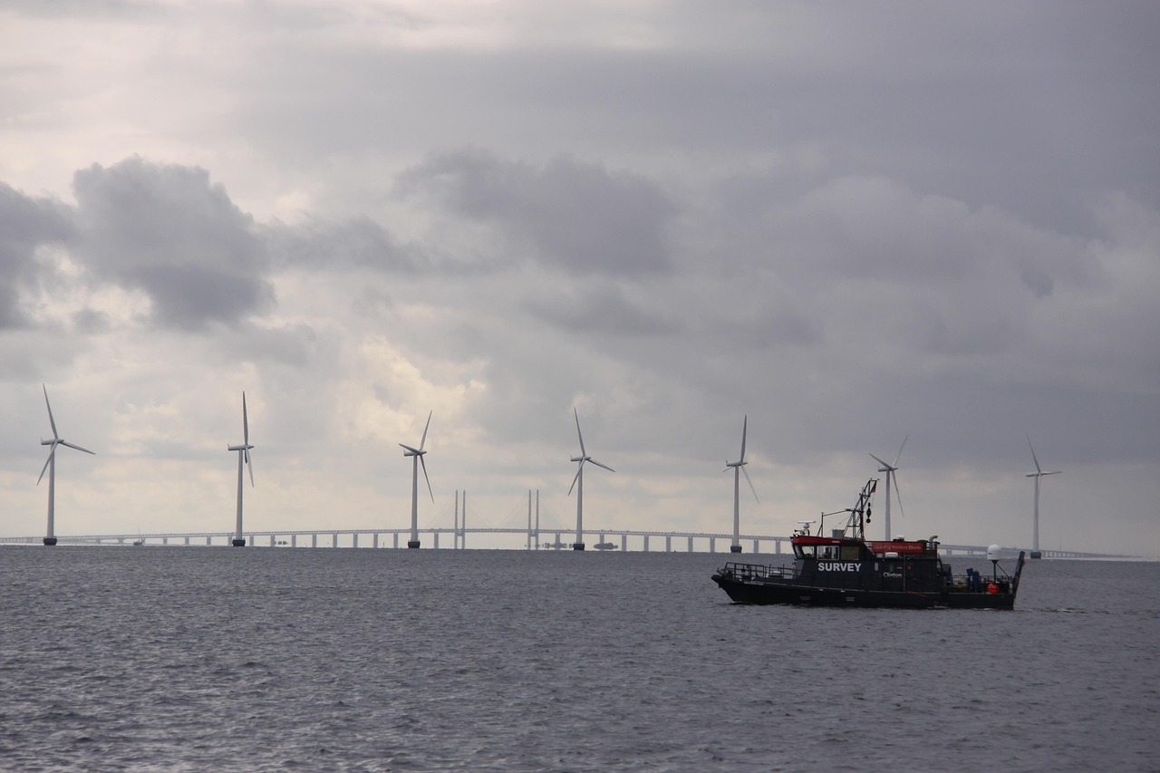 Condamnés à coexister : l’éolien en mer face au défi climatique et à la préservation de la biodiversité en France