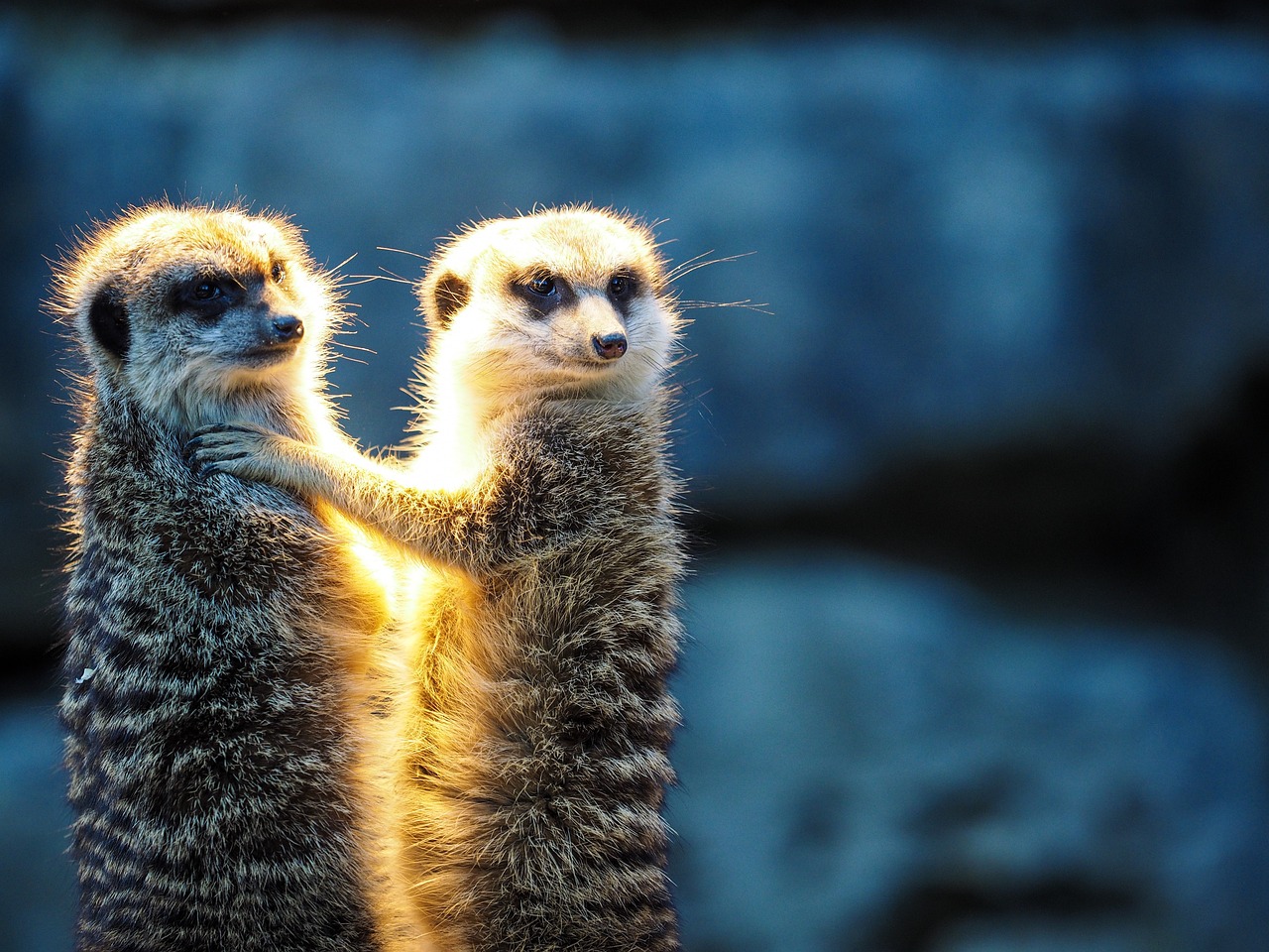 Changement de comportement : Comprendre les facteurs qui influencent nos habitudes
