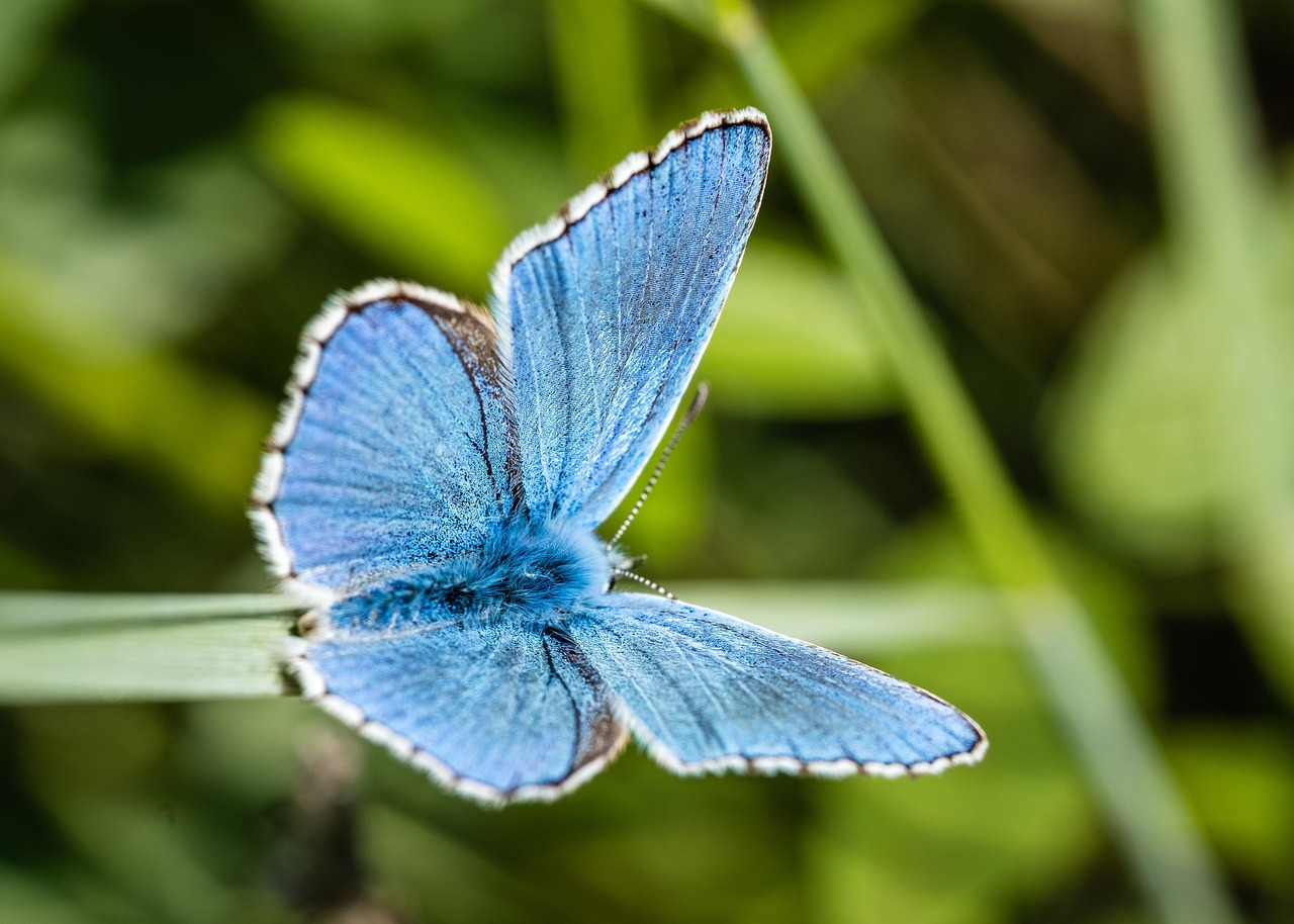 Serge Wilmes défend la biodiversité au sommet international de la nature à Abu Dhabi