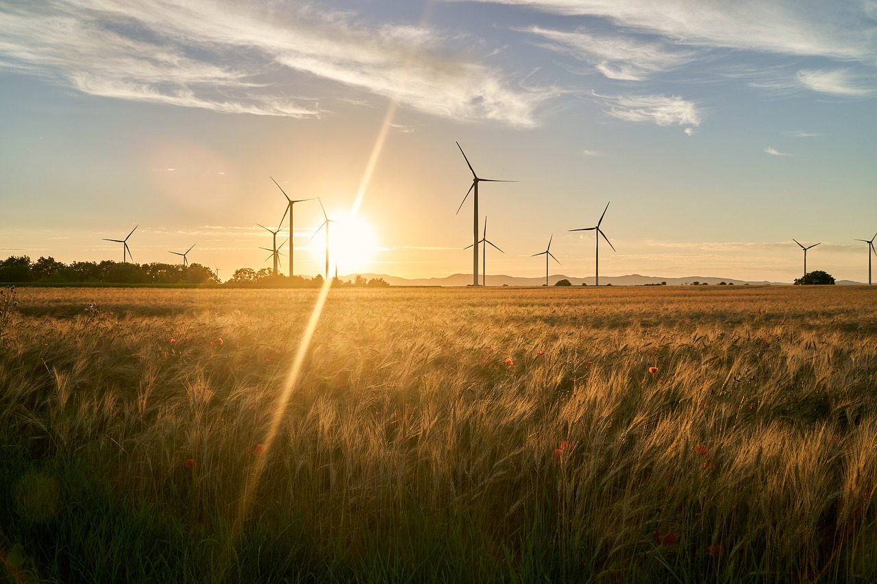 Énergies renouvelables : le chemin vers la décarbonation