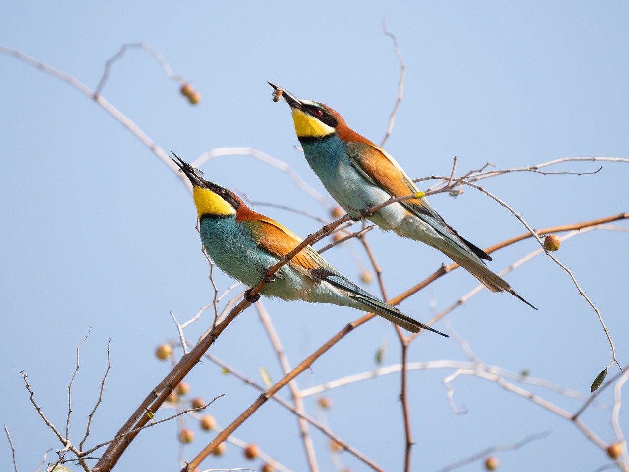 Habitat naturel : comprendre son importance pour la biodiversité