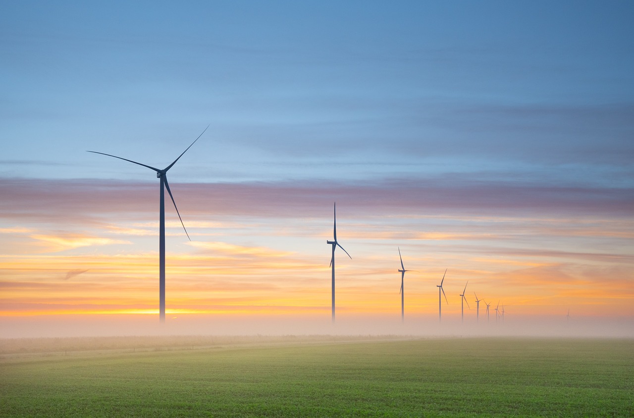 Les énergies renouvelables et la biodiversité