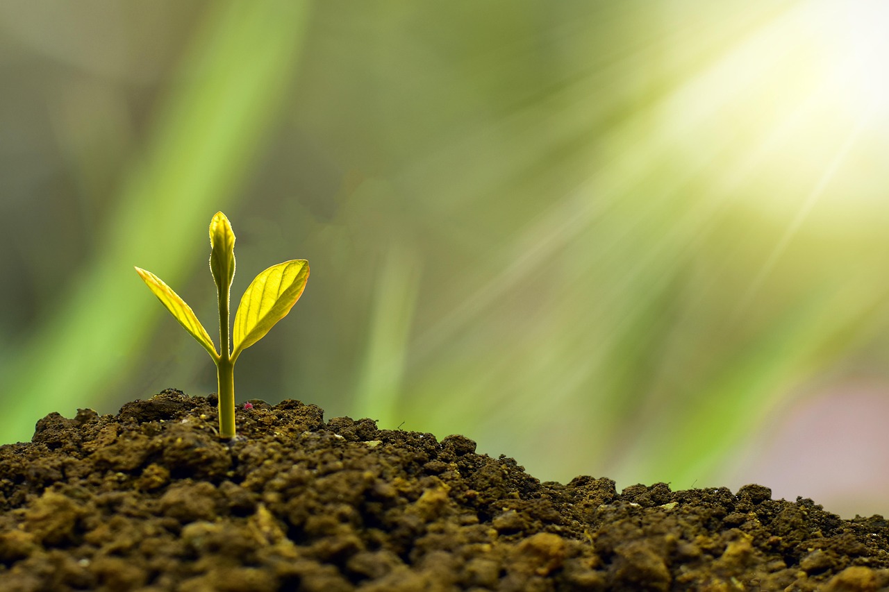 S’engager dans la transformation écologique de l’Europe : opportunités d’investissement pour un avenir durable