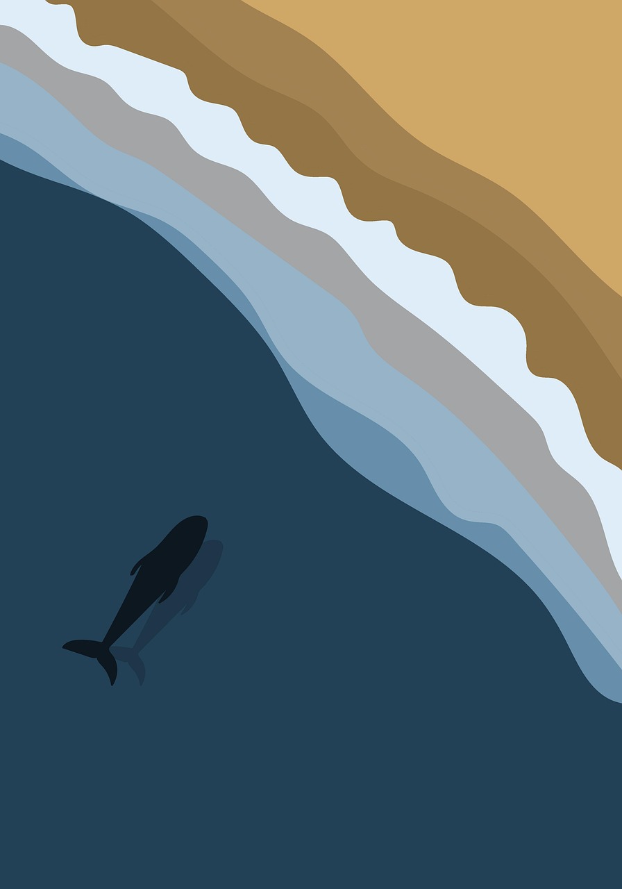 « Leur refuge naturel » : deux baies indonésiennes hébergent des requins-baleines en permanence