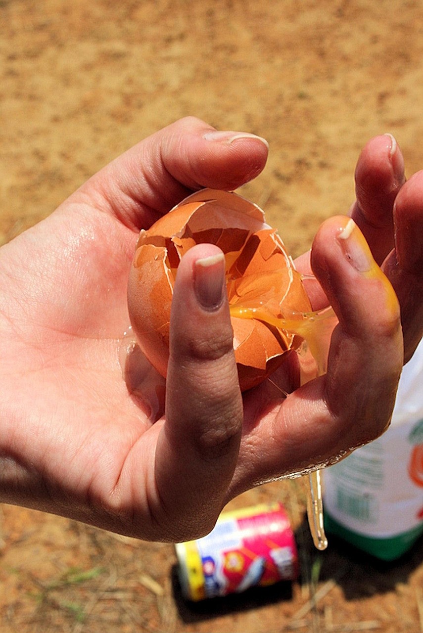 Gaspillage alimentaire : Solutions concrètes pour réduire les déchets à la maison et au quotidien